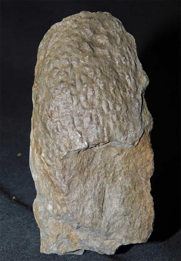 Click to enlarge